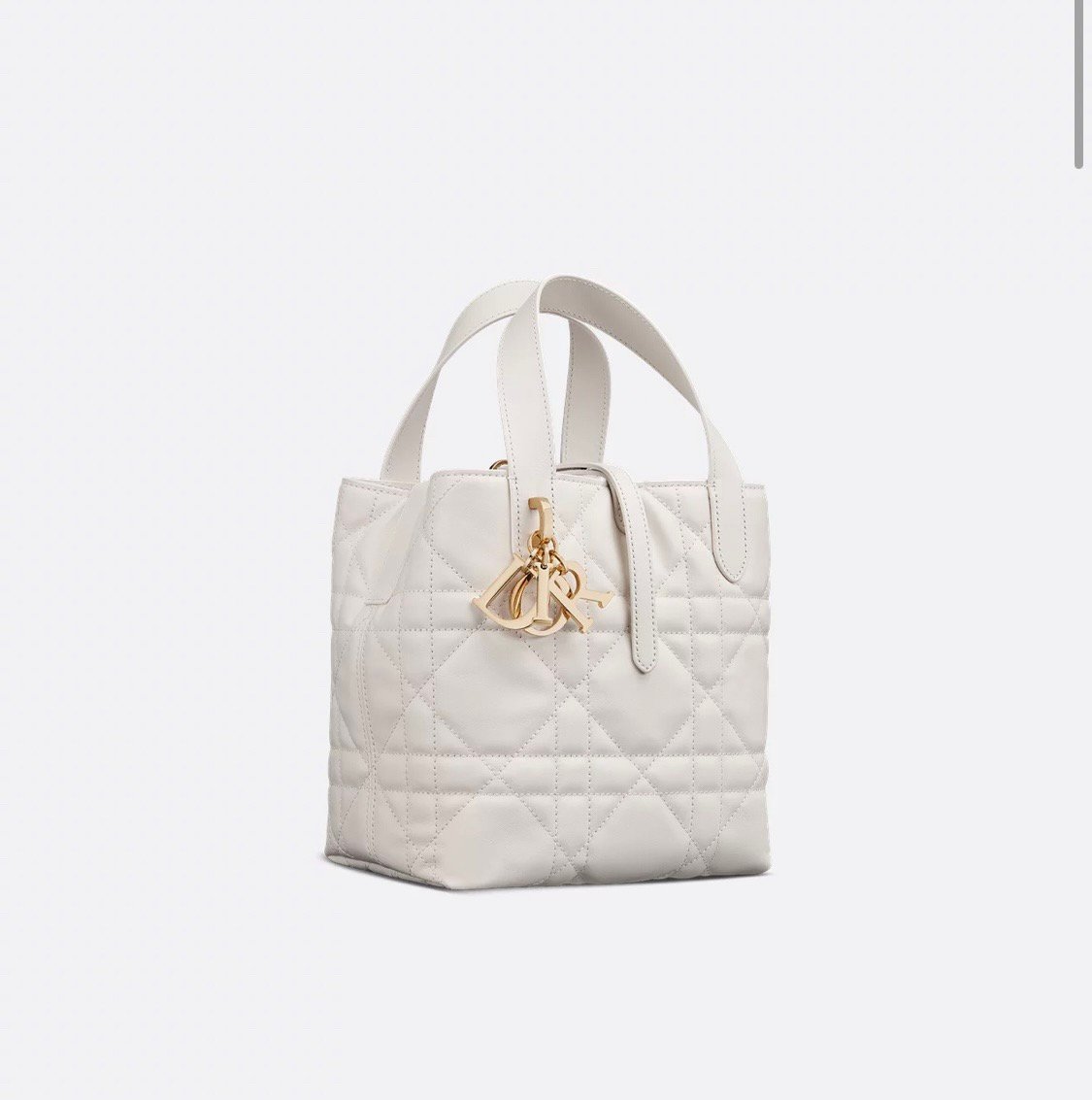 Dior Toujours Vertical Series Small White